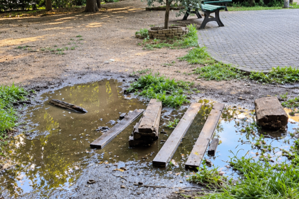 Parco Merolli: degrado e acqua stagnante, il Consigliere Alongi scrive al Municipio e chiede un intervento urgente: “Basta parole”